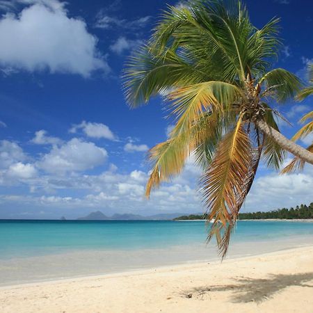 - Les Pieds Dans L'Eau A 50M De La Plage, Cote Mer Caraibe - Domaine De L'Anse Caritan - Sainte-Anne - Екстериор снимка