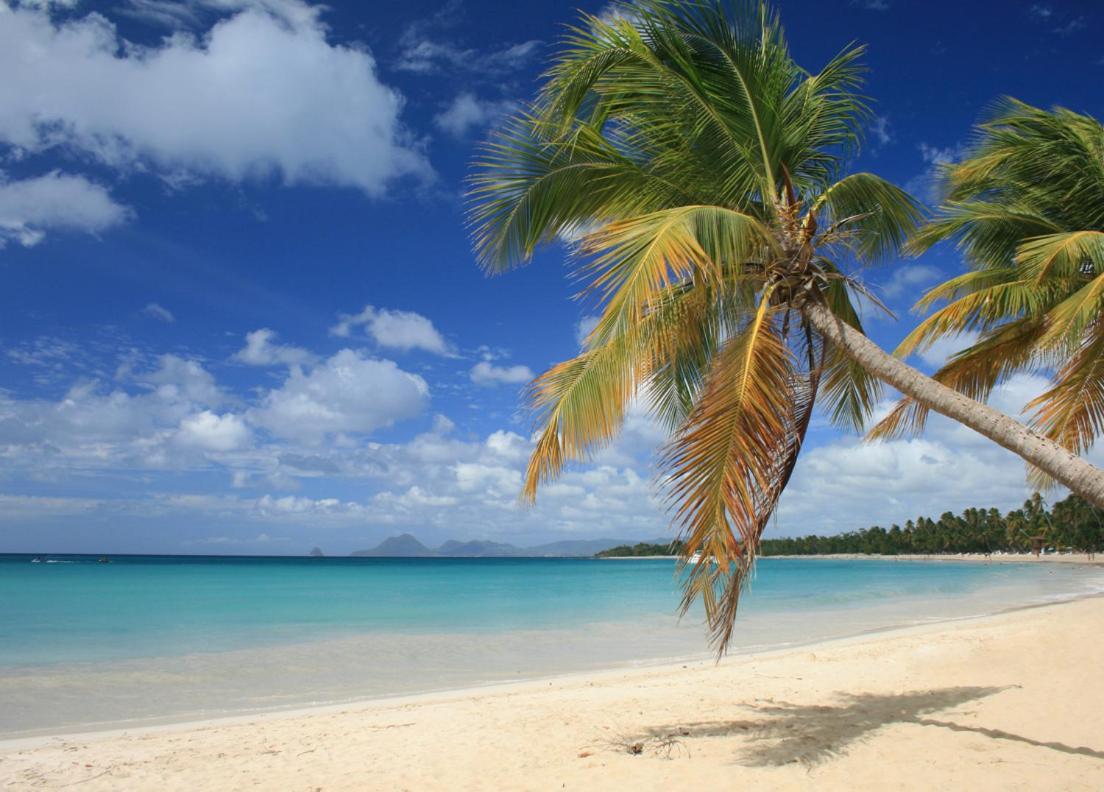 - Les Pieds Dans L'Eau A 50M De La Plage, Cote Mer Caraibe - Domaine De L'Anse Caritan - Sainte-Anne - Екстериор снимка